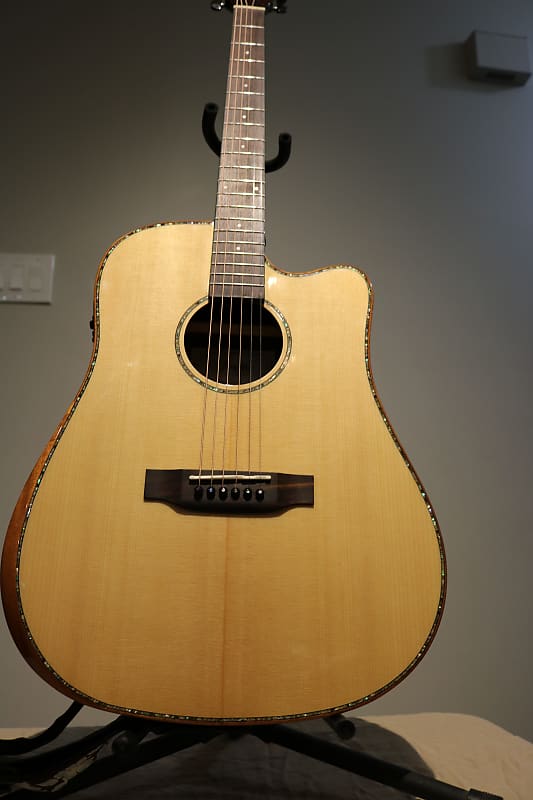 NEW* Firefly GT01-E, Thinline Acoustic, Electric Guitar