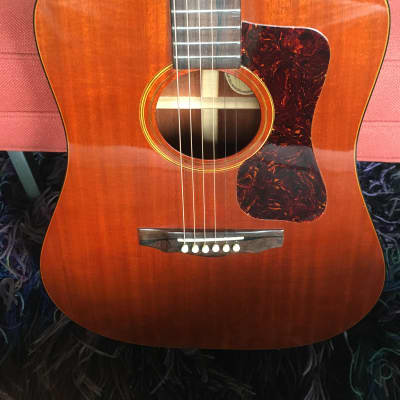 Guild D-25 1972 Mahogony guitar with tags image 3