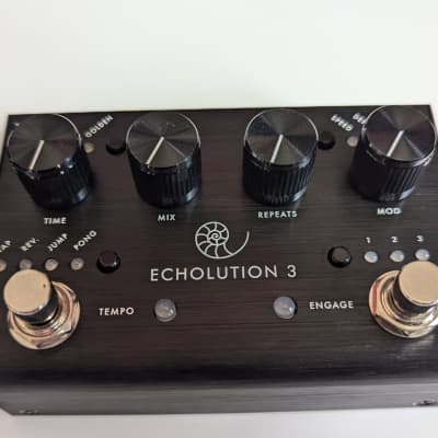 Pigtronix Echolution 3 2021 - Black | Reverb Pigtronix Echolution 3 2021 - Black | Reverb