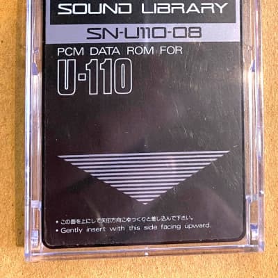 Roland SN-U110-08 Synthesizer