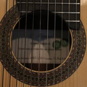 Darren Hippner 11 string Concert Classical 2011 image 7