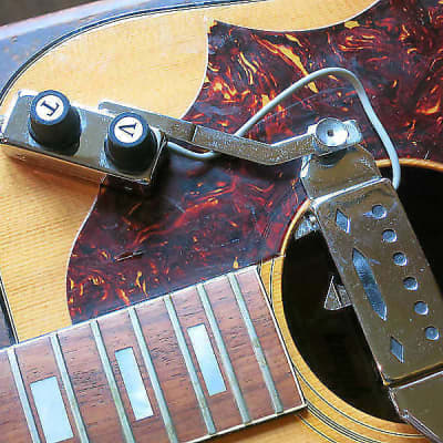 Panel control Hofner Bass guitar Vintage 60/70 pot knobs