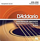 D'Addario EJ42 Resophonic Guitar image 1