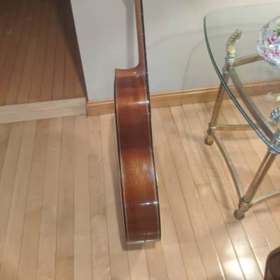 Giannini GWNC4 Classical Guitar Special Edition image 4