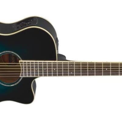 Epiphone EL-00 Pro Limited Edition Acoustic Electric Guitar