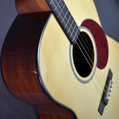 Gold Tone Mastertone TG-18: Tenor Guitar image 17