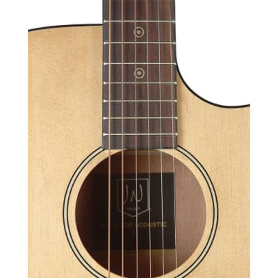 James Neligan BES-ACE N Bessie Series Auditorium Solid Spruce Top 6-String Acoustic-Electric Guitar image 5