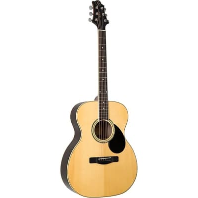 SAMICK LW-044 G CEQ NEW acoustic guitars for sale in USA