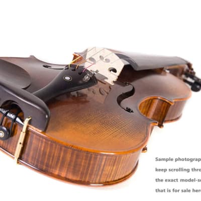 Cecilio 4/4 Advanced Level Violin Featuring Aged 7+ Years - Solid Spruce Top Highly Flamed One-Piece Maple Back and Sides All-Ebony Components, Independent Fine-Tuners, Brazilwood Bows, Hand-Rubbed Oil Finish... image 5