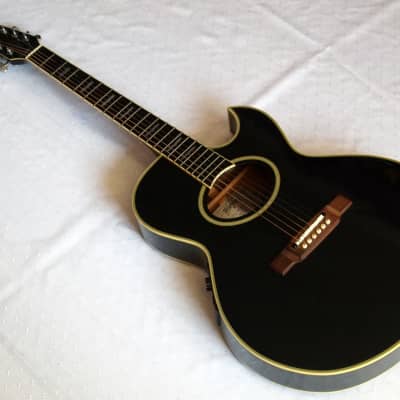 Washburn EA22B PLATINUM EDITION