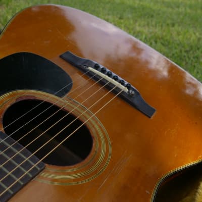 Trump Dreadnought with Vintage Case image 9