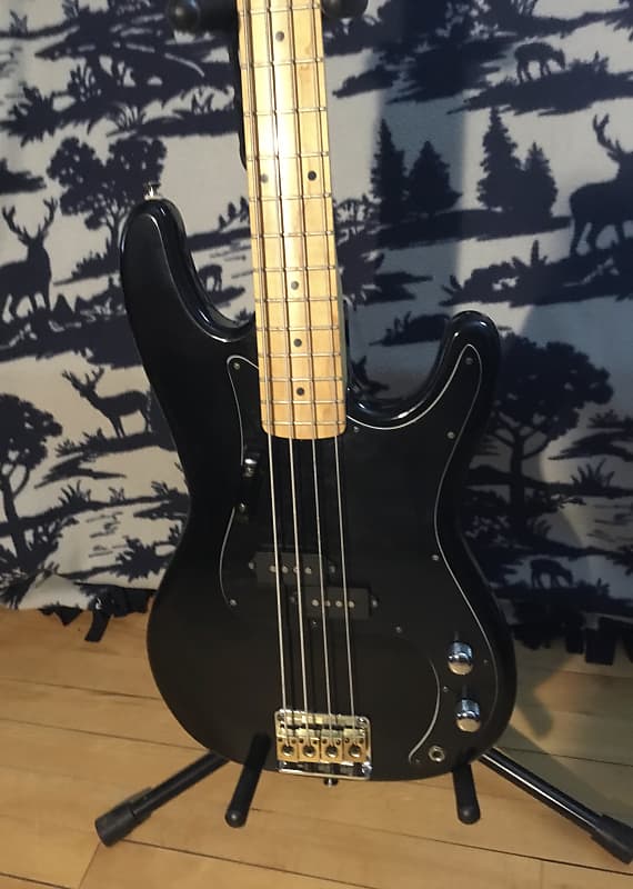 Epiphone store accu bass