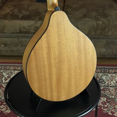 Eastman PCH-M104 Goldburst Mandolin incl. Gigbag + NEW image 8