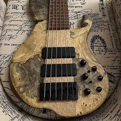 Muckelroy HMC Fretless 6 String 2014 - Buckeye Burl image 7