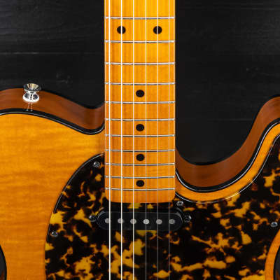 H.S. Anderson HS-1 Mad Cat Guitar - Vintage Reissue Model v2
