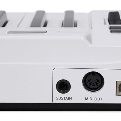 Samson Carbon 61 Key USB MIDI DJ Keyboard Controller+Dual Shelf Studio Stand image 18