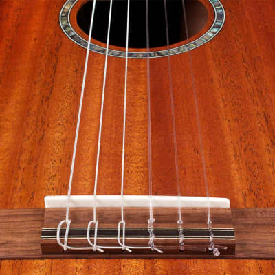 Cordoba C4-CE Acoustic-Electric Nylon-String Classical Guitar image 2