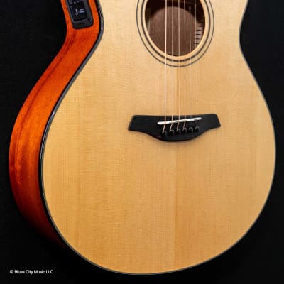 Furch - Green - Grand Auditorium Cutaway - Sitka Spruce - Mahogany Back/Sides - LR Baggs Stagepro Element - 1 - Hiscox OHSC image 4