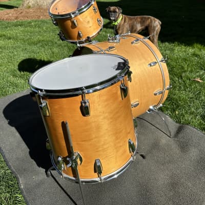 Ludwig/Slingerland “Hybrid” 3ply maple 70s Thermogloss 24/13/16 image 7