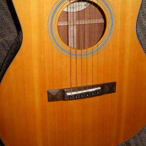 2011 Wechter 000 12 fret Acoustic guitar T-8418 image 9