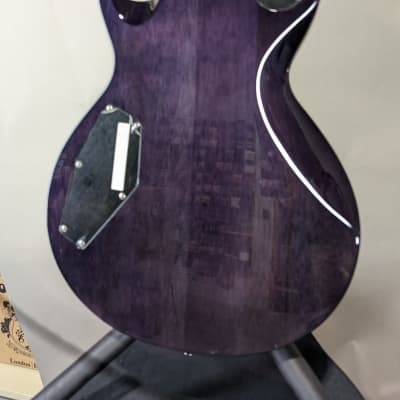 ESP LTD EC-256 FM HH See-Thru Purple Sunburst Electric Guitar image 7