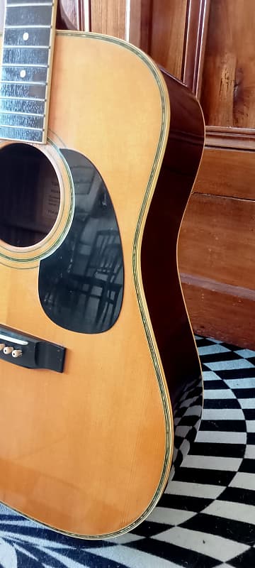 Tokai Cat's Eyes CE200D 1980 made in Japan | Reverb