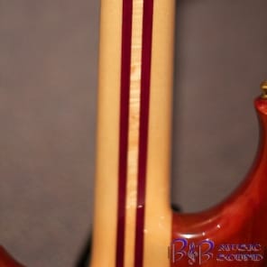Alembic BURLREDWOOD4 Custom Burl Redwoood Top 4 String Bass with Hard Case image 8