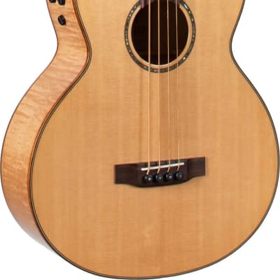 Teton STB130FMCENT Acoustic-Electric Bass, Solid Sitka Spruce Top image 17