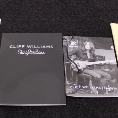 Music Man CLiff Williams StingRay image 21