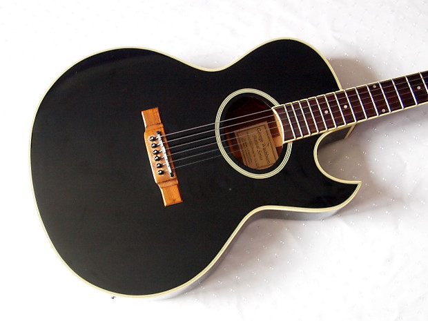 Washburn 2025 ea20 black
