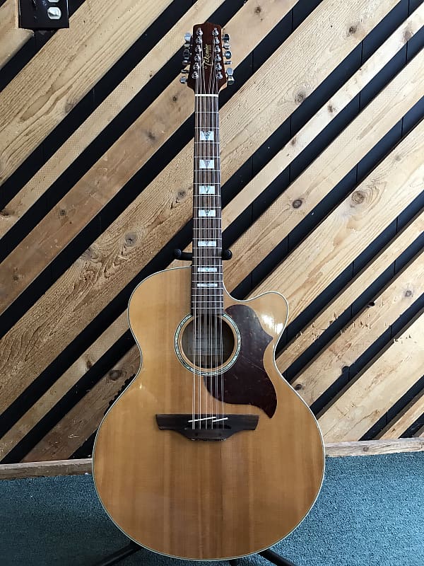 Takamine EG523SC12  Solid Top 12 String with OHSC image 1