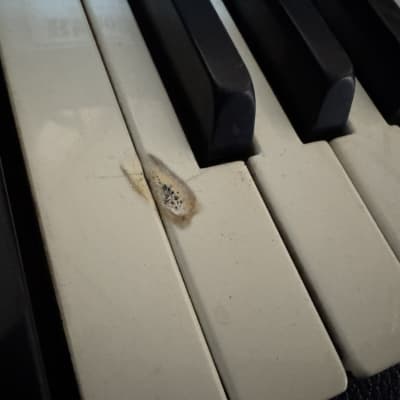 Fender Rhodes Mark I Stage 73-Key Electric Piano 1976 - Black Rounded Top image 5