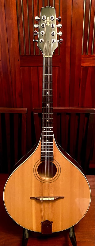 Trinity College Octave Mandolin - Folkmusician