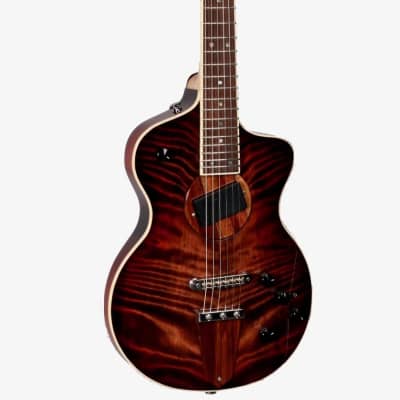 Rick Turner California Series Guitars - Model 1 & Renaissance Twin Set 2021 Set #4 of 5 image 8