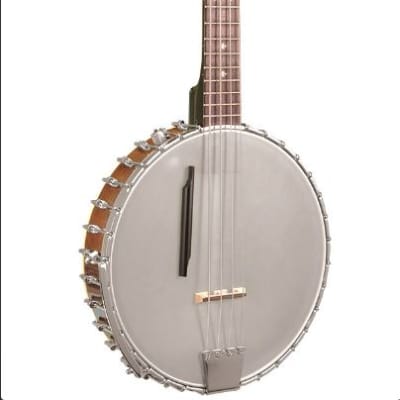 Gold Tone BB-400+ 4-String Banjo Bass w/ Pickup & Case 14" Head 32" Scale w/case image 1