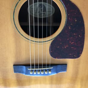 1992-93 Epiphone PR775S 