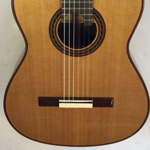 HIll Guitar Company Performance 650mm 2016 Cedar/Indian Rosewood image 1
