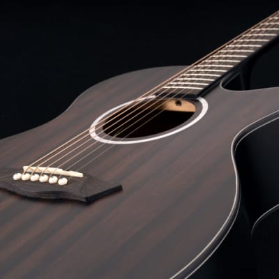 Washburn DFEACE | Deep Forest Auditorium Acoustic / Electric  Guitar. New with Full Warranty! image 3