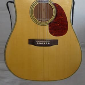 Cort Earth 500 Acoustic Dreadnought Guitar image 1