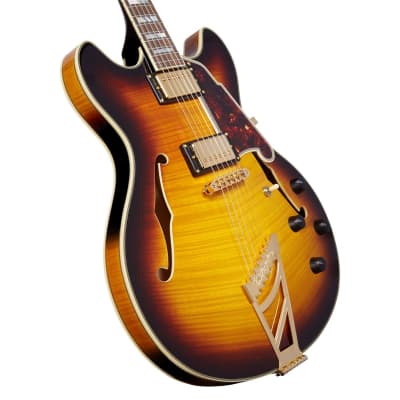 D'Angelico Guitars Excel DC 2018 16 Semi Hollow Electric Guitar with Stairstep Tailpiece, Pau Ferro Fingerboard, Vintage Sunburst image 10