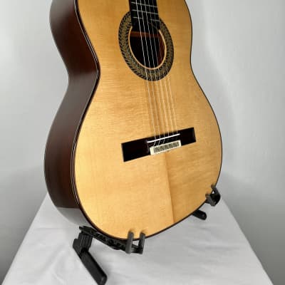 Antonio Picado Model 62 Classical Guitar Spruce & Madagascar w/case *made in Spain image 6