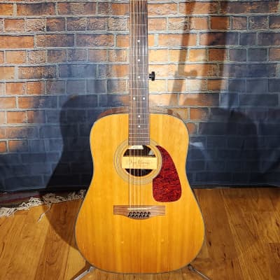 Fender DG-14S/12 12-String Acoustic Guitar Natural w/ Dean Markley Promag Plus Pickup for sale