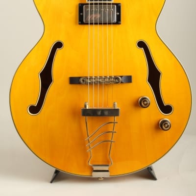 Ibanez PM2-AA-12-02 Antique Amber for sale