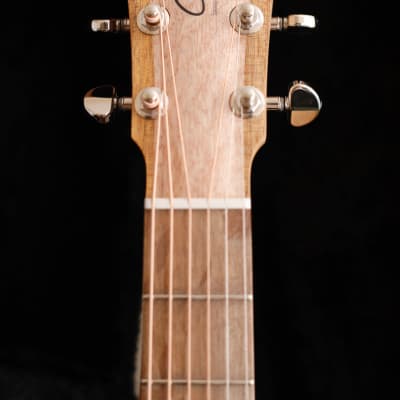 Cole Clark AN2EC Blackwood/Blackwood Humbucker Dual-Output Guitar image 6