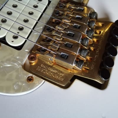 Fernandes LA-80KK - Ken Kitamura signature (L'Arc-en-Ciel