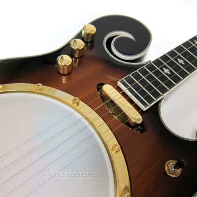 Gold Tone 5-String Electric Banjo image 4