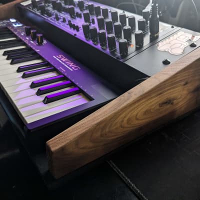 Behringer Pro-1 Analog Synthesizer + Swing Polyphonic Controller + DYI Double-Tier Case + Patch & USB Cables - Present - Black