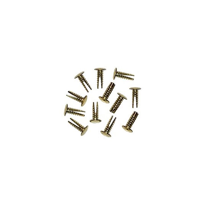 Genuine Marshall Brass Rivets - 12 Pieces  from  M-PACK-00017 image 1