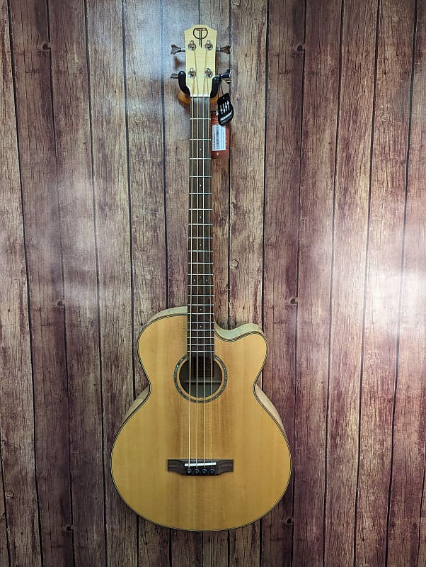 Teton STB130FMCENT Acoustic Bass Jumbo Spruce Teton Guitar with hardcase image 1