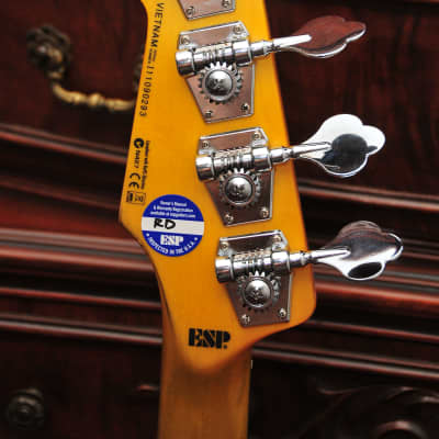 ESP LTD vintage 204   PJ Bass 2012 sunburst image 6